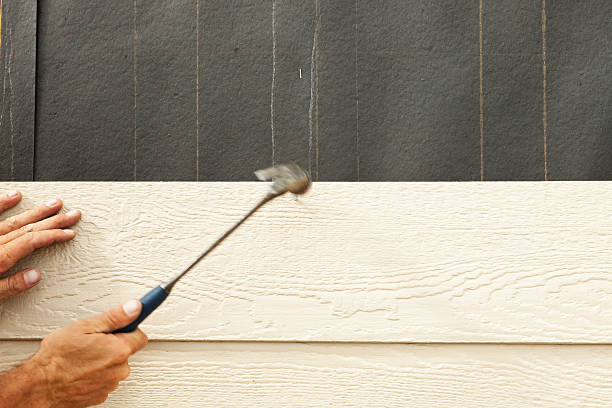 Best Stone Veneer Siding  in Cushing, OK